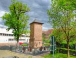 lohr_160515__078.jpg