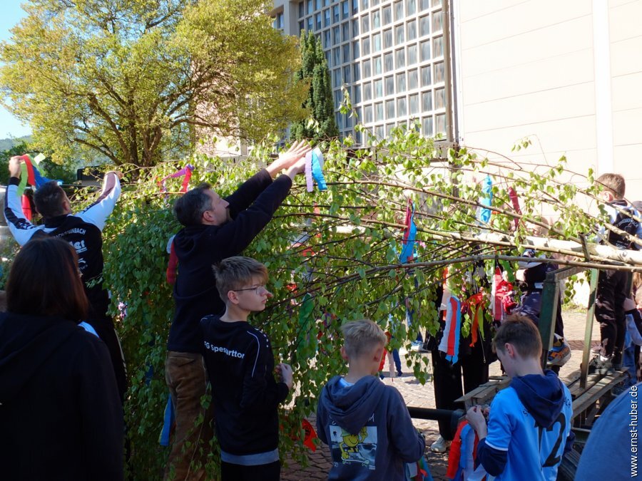 maibaum2026__012.jpg