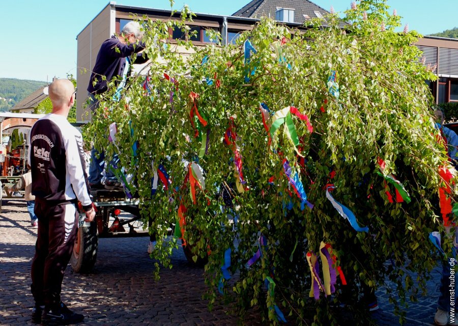 maibaum2026__024.jpg