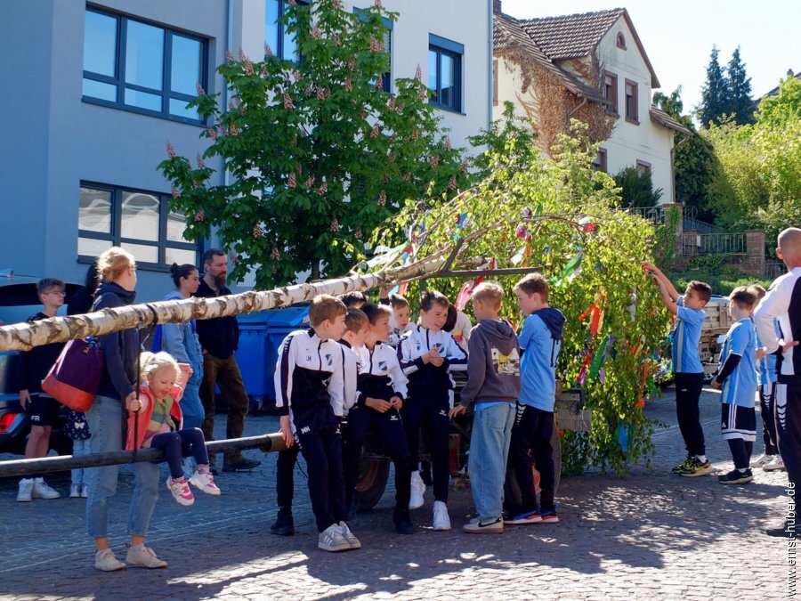 maibaum2026__034.jpg