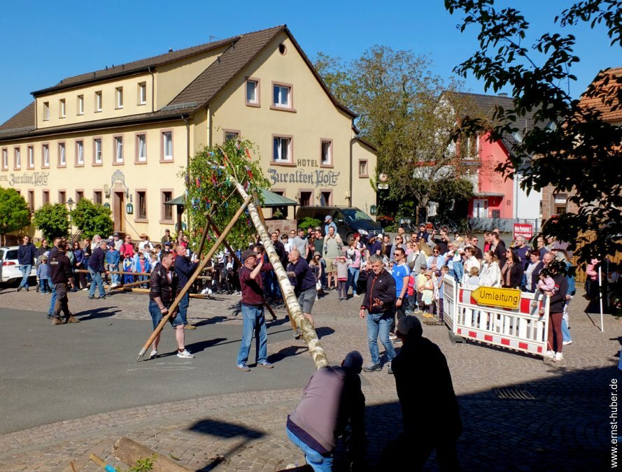 maibaum2026__050.jpg