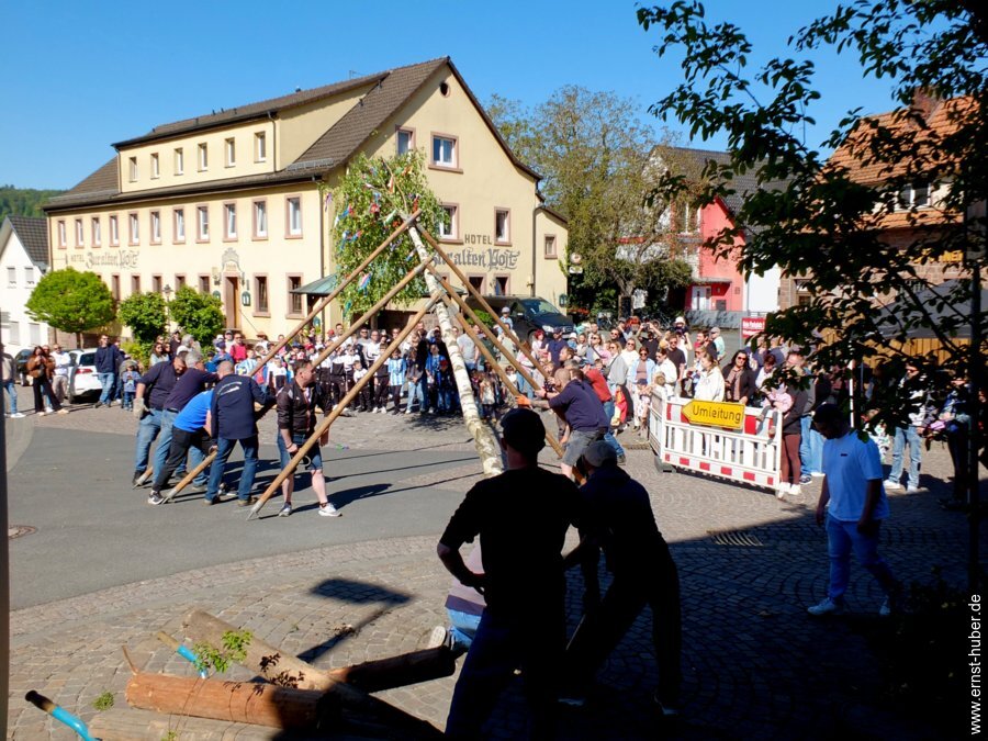 maibaum2026__053.jpg