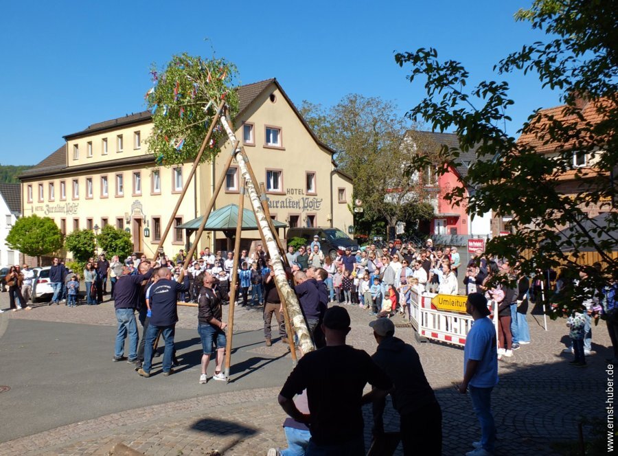 maibaum2026__054.jpg
