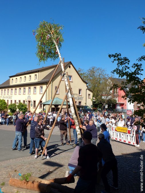 maibaum2026__058.jpg