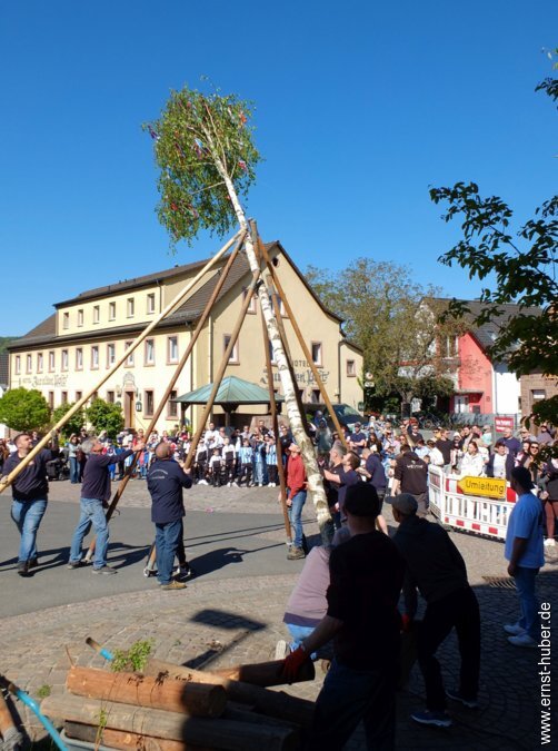 maibaum2026__061.jpg