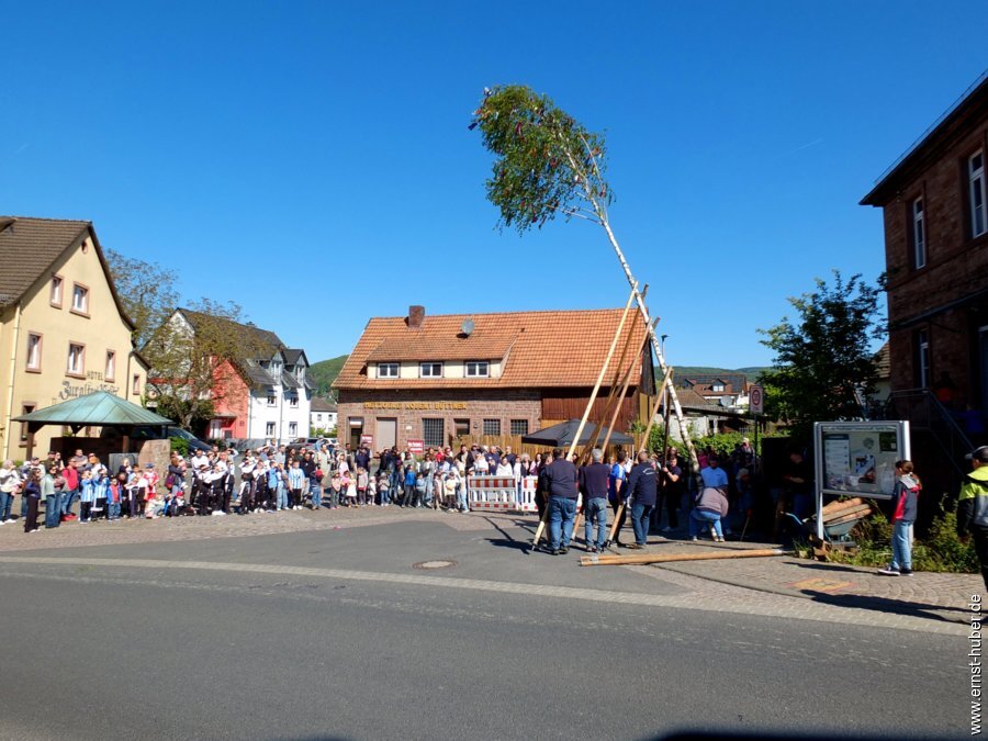 maibaum2026__063.jpg