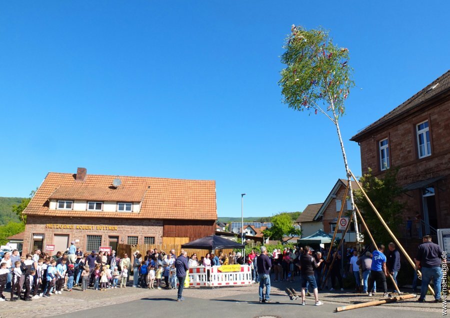 maibaum2026__069.jpg