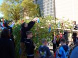 maibaum2026__012.jpg