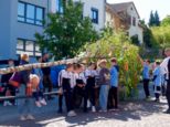 maibaum2026__034.jpg