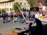 maibaum2026__048.jpg