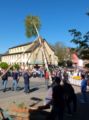 maibaum2026__061.jpg