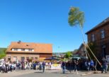maibaum2026__069.jpg