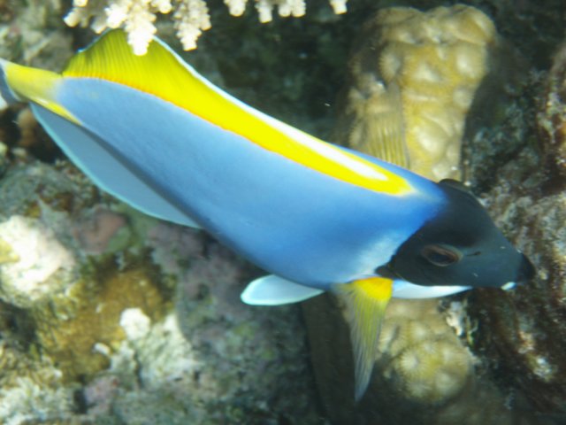 malediven_092.jpg