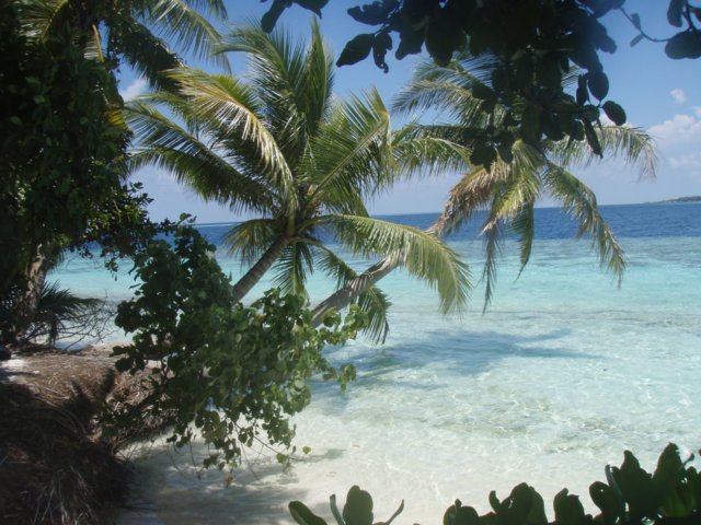 malediven_156.jpg