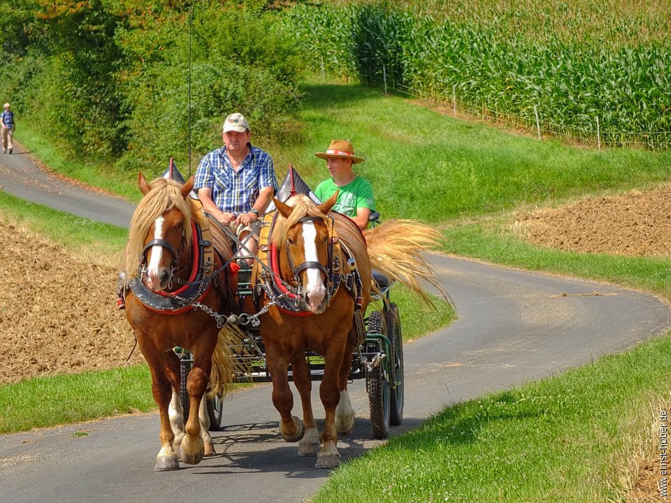 rohrbach2016__158.jpg