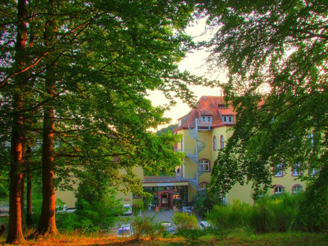 lasko_118.jpg