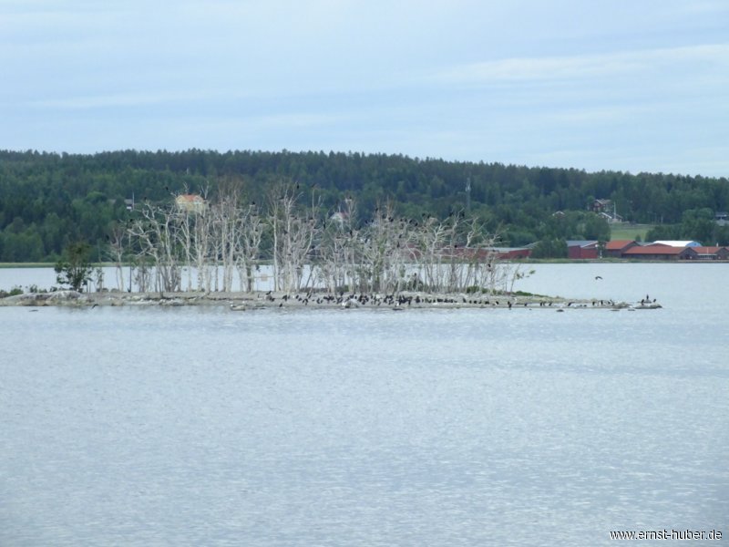 schweden190613__220.jpg
