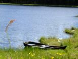 schweden180613__349.jpg