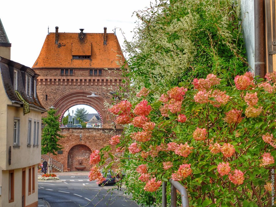 miltenberg__207.jpg