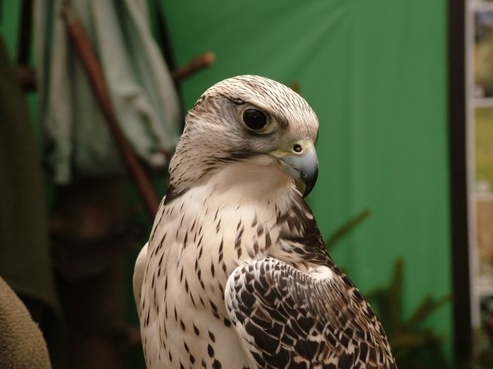 expo_056.jpg
