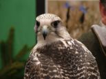 expo_051.jpg