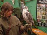 expo_054.jpg