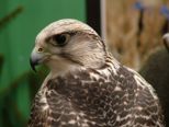 expo_055.jpg