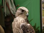 expo_056.jpg
