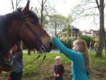 Impressionen vom Sonntag