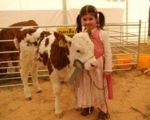Impressionen von der MSP EXPO am Samstag
