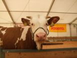 msp_expo_2010__055.jpg