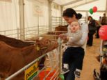 msp_expo_2010__060.jpg