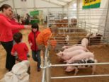 msp_expo_2010__065.jpg