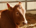 msp_expo_2010__072.jpg