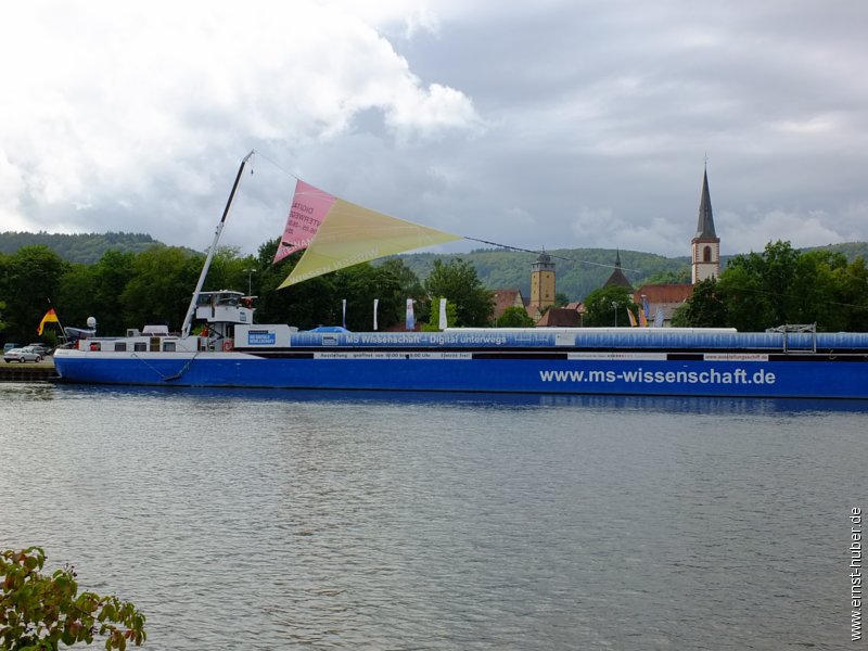 ms_wissenschaft__011.jpg