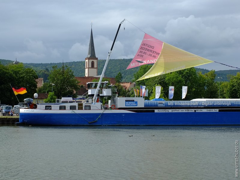 ms_wissenschaft__019.jpg