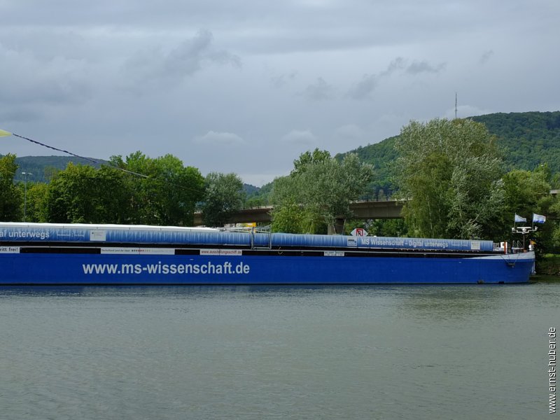 ms_wissenschaft__020.jpg