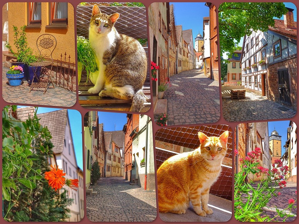 Die neue alte Muschelgasse in der Schneewittchenstadt Lohr a. Main