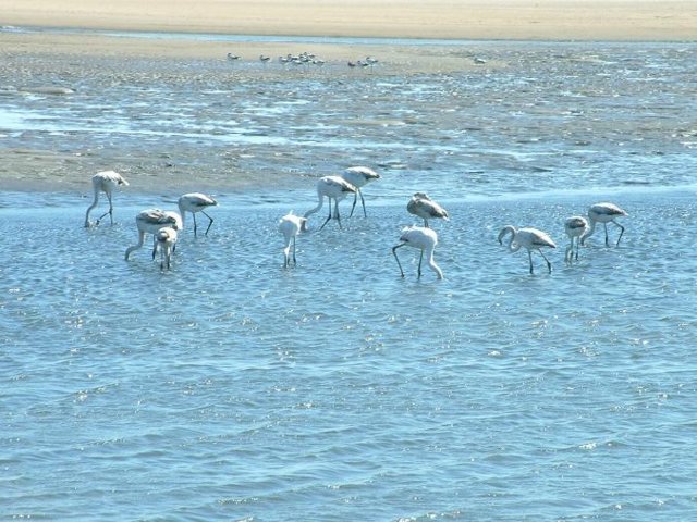 namibia6.jpg