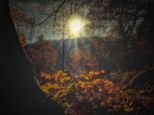 november14_11_20_073.jpg