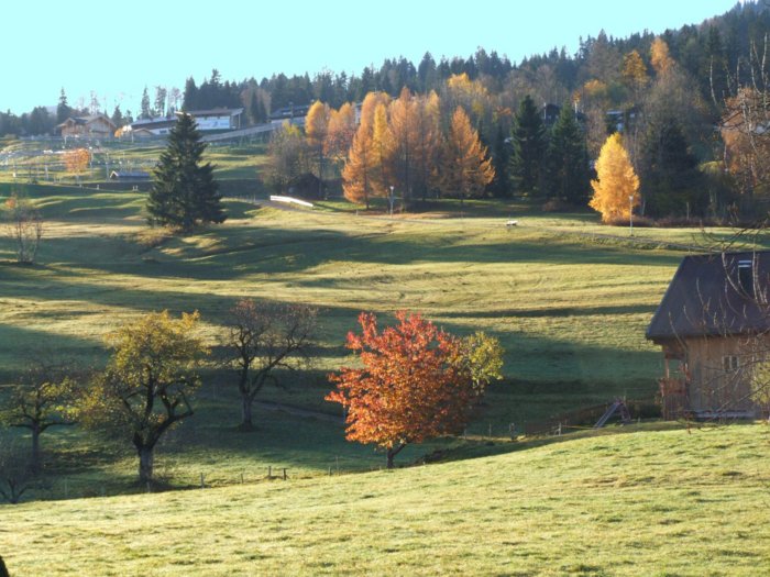 allgaeu026.jpg
