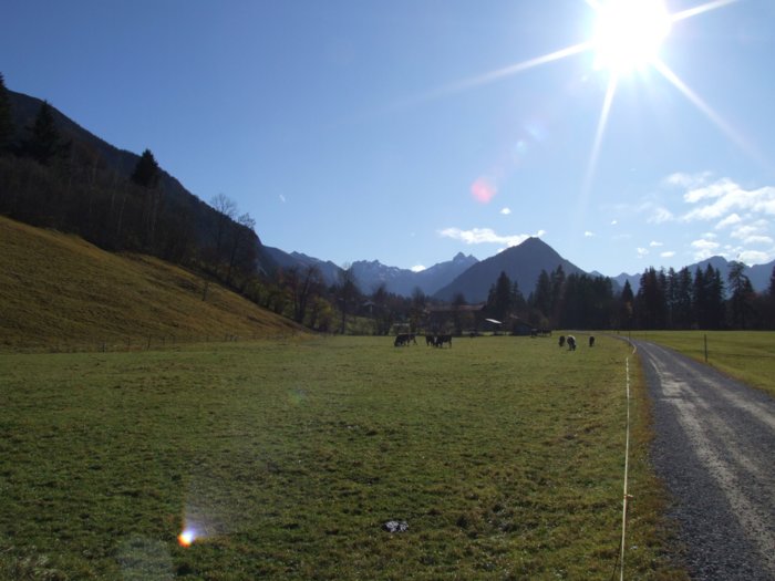allgaeu279.jpg