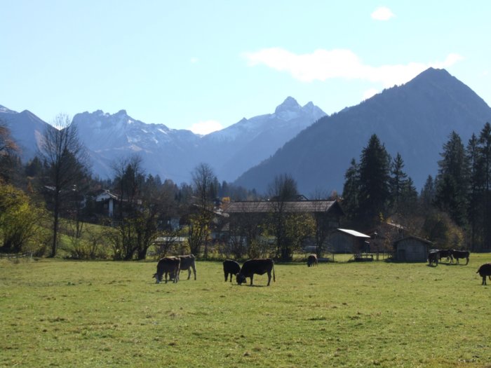 allgaeu280.jpg