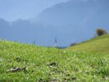 allgaeu265.jpg