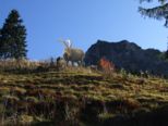 allgaeu188.jpg