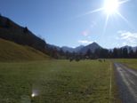 allgaeu279.jpg
