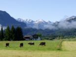 oberstdorf_08_06_09_013.jpg