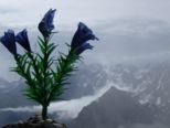 oberstdorf_08_06_09_051.jpg