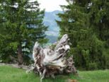 oberstdorf_06_2009_720.jpg