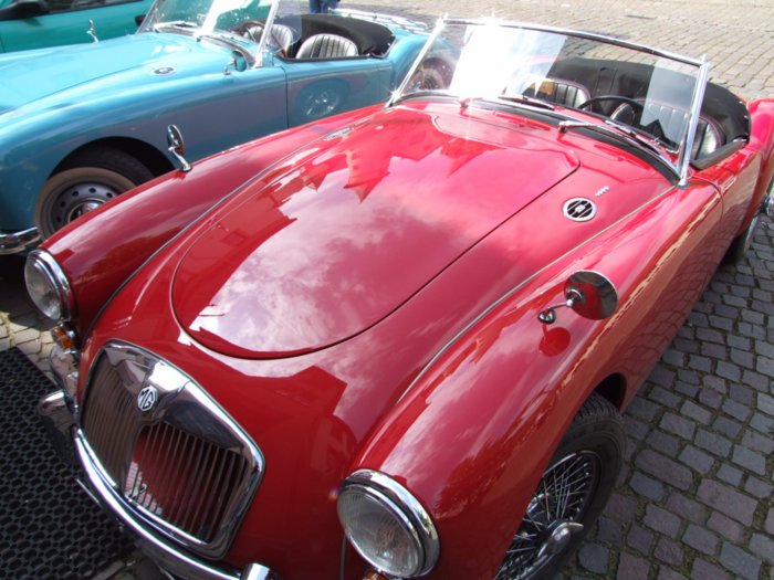mg_205.jpg